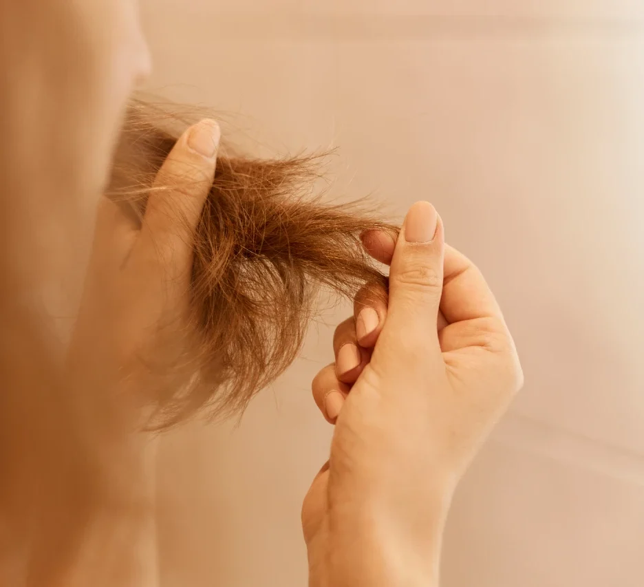 pelo seco y dañado